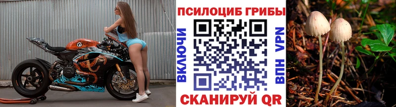 Галлюциногенные грибы GOLDEN TEACHER  Купить где  Зеленокумск 